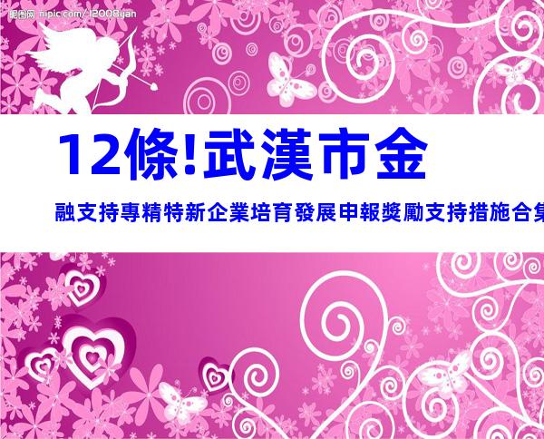 12條!武漢市金融支持專精特新企業培育發展申報獎勵支持措施合集
