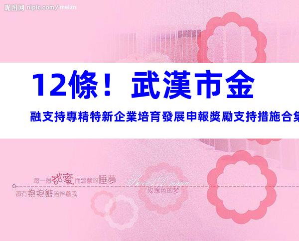 12條！武漢市金融支持專精特新企業培育發展申報獎勵支持措施合集