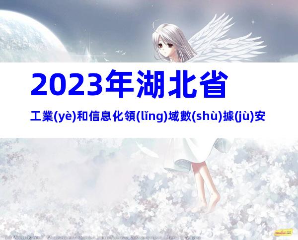 2023年湖北省工業(yè)和信息化領(lǐng)域數(shù)據(jù)安全典型案例遴選申報要求、時間及流程