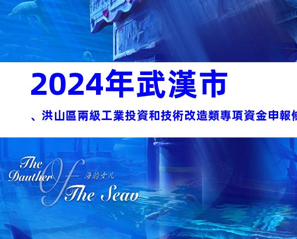 2024年武漢市、洪山區兩級工業投資和技術改造類專項資金申報條件、獎補、材料、時間