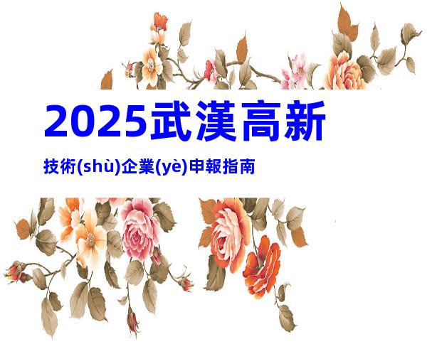 2025武漢高新技術(shù)企業(yè)申報指南