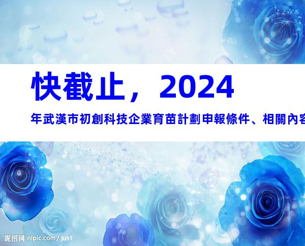 快截止，2024年武漢市初創科技企業育苗計劃申報條件、相關內容