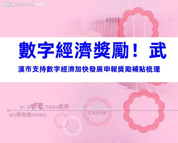 數字經濟獎勵！武漢市支持數字經濟加快發展申報獎勵補貼梳理