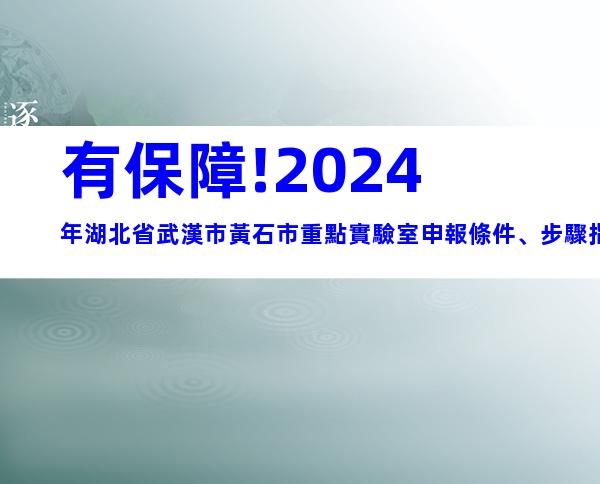 有保障!2024年湖北省武漢市黃石市重點實驗室申報條件、步驟指南