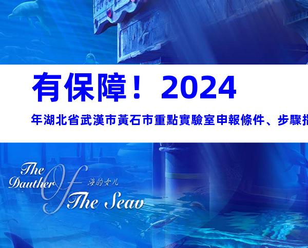 有保障！2024年湖北省武漢市黃石市重點實驗室申報條件、步驟指南