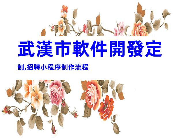 武漢市軟件開發定制,招聘小程序制作流程