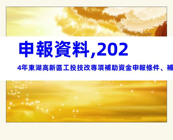 申報資料,2024年東湖高新區工投技改專項補助資金申報條件、補助標準
