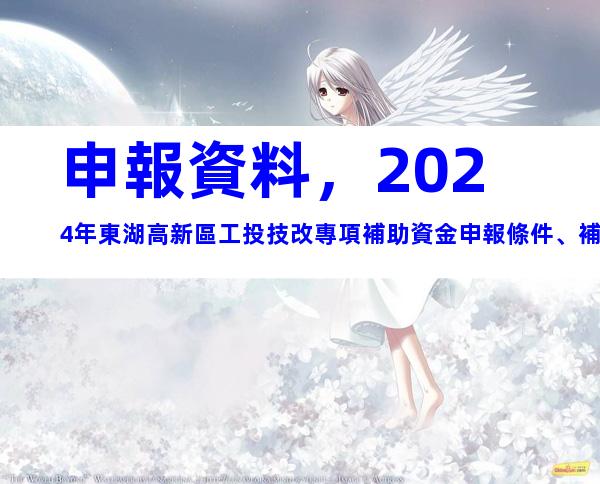申報資料，2024年東湖高新區工投技改專項補助資金申報條件、補助標準